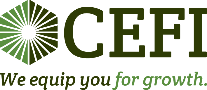 CEFI